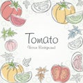 Tomato background, with sketchy linear vector design