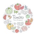 Tomato background, with sketchy linear vector design