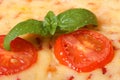 Tomato and basil macro on a margarita pizza Royalty Free Stock Photo