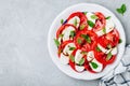 Tomato, basil, mozzarella Caprese salad with balsamic vinegar and olive oil