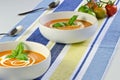 Tomato and basil soup Royalty Free Stock Photo