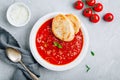 Tomato basil soup with parmesan cheese and bread toasts on gray stone background Royalty Free Stock Photo