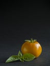 Tomato and basil Royalty Free Stock Photo