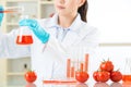 Tomato biology research from asian female scientist
