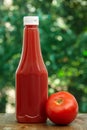 Tomato and bottle of ketchup Royalty Free Stock Photo