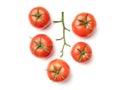 Tomato branch isolated on white background Royalty Free Stock Photo