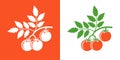 Tomato branch logo. Isolated tomato branch on white background