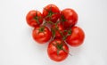 Tomato branch. Tomatoes isolated on a white background Royalty Free Stock Photo