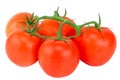 Tomato. Tomato branch. Tomatoes isolated on white. With clipping path Royalty Free Stock Photo