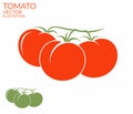 Tomato. Branch Royalty Free Stock Photo