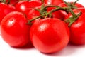 Tomato branch with water droplets isolated on white background Royalty Free Stock Photo