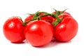 Tomato branch with water droplets isolated on white background Royalty Free Stock Photo