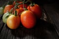 Tomato branch with water droplets on the old wooden table against a dark background Royalty Free Stock Photo