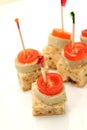 Tomato on bread canape white background