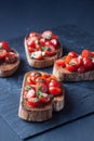 Tomato bruchetta slices Royalty Free Stock Photo