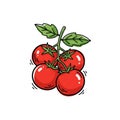 Tomato bunch doodle Royalty Free Stock Photo