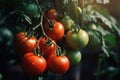 Tomato bunch organic. Generate Ai