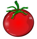 tomato cartoon isolated