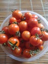 Tomato cerry fruit