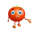 Tomato character with presentation pose Royalty Free Stock Photo