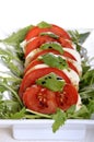 Tomato and cheese antipasto