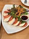 Tomato cheese Salad with fresh summer vegetables top view Royalty Free Stock Photo