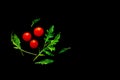 Tomato cherry with rukkola, ruocola salad Royalty Free Stock Photo