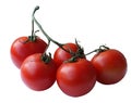 Tomato, cherry, tomatoes, isolated, top, view, white, background, ripe, red, fresh, nature, vine, green, color, bunch, food, close