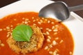 Tomato cream soup Royalty Free Stock Photo