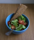 Tomato cucumber olives salad with crispy rye bread close up Royalty Free Stock Photo