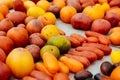 Tomato cultivars. colorful variety of organic tomato. Different varieties of red, orange, yellow tomatoes Royalty Free Stock Photo