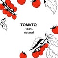 Tomato design template in doodle style