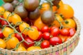 Tomato of different varieties Royalty Free Stock Photo