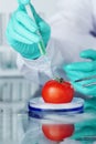 Tomato DNA change Royalty Free Stock Photo