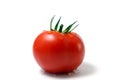 Tomato with drop of water Royalty Free Stock Photo