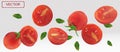 Tomato falling from different angles. Flying tomato with green leaf on transparent background. Tomato are whole and cut