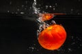 Tomato falling in water Royalty Free Stock Photo