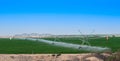 Tomato field irrigated by a pivot sprinkler system in Qatar