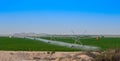 Tomato field irrigated by a pivot sprinkler system in Qatar