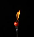 Tomato on fire with blue flames isolated on black background Royalty Free Stock Photo