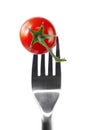 Tomato on Fork Royalty Free Stock Photo