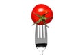 Tomato on a fork isolated on white Royalty Free Stock Photo