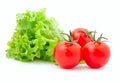Tomato and fresh lettuce