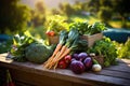 Tomato fresh vegetables food cucumber diet healthy pepper green organic Royalty Free Stock Photo