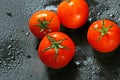Tomato fruit Royalty Free Stock Photo