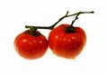 tomato fruits Royalty Free Stock Photo