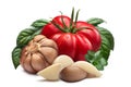 Tomato, garlic, basil, paths Royalty Free Stock Photo