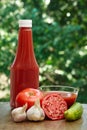 Tomato, garlic, cucumber, hot pepper, bottle of ketchup and juice Royalty Free Stock Photo