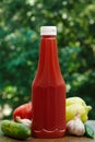 Tomato, garlic, cucumber, hot pepper, paprika and bottle of ketchup. Royalty Free Stock Photo
