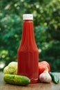 Tomato, garlic, cucumber, hot pepper, paprika and bottle of ketchup. Royalty Free Stock Photo